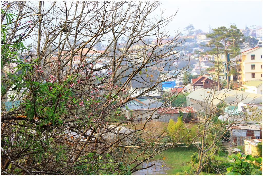 Hobbit Village 달랏 외부 사진